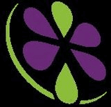 Markhamia Limited