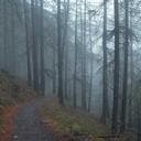 Colorwave Painting logo